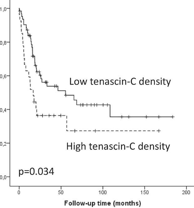 Kaplan-Meier survival curve showing esophageal adenocarcinoma survival divided by low and high (&#x2265;3) tenascin-C expression density.