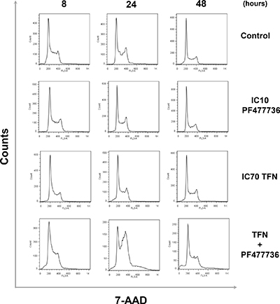 The combination of teriflunomide and PF477736 results in significant cell cycle perturbations in transformed mouse embryonic fibroblasts.