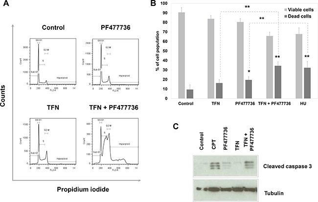 The combination of teriflunomide and PF477736 is cytotoxic in SUM159 triple negative breast cancer cell line.