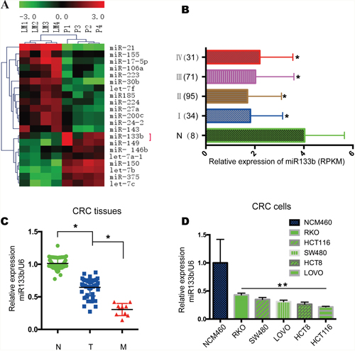 MiR-133b is downregulated in CRC tumor samples and cell lines.