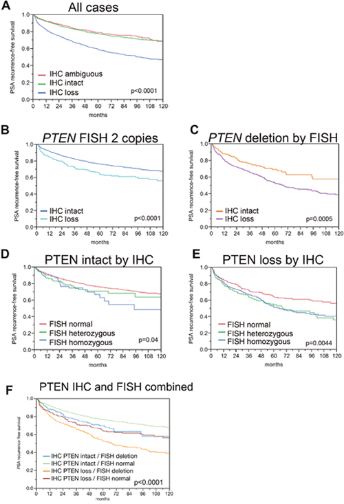 Kaplan-Meier analysis for PSA recurrence-free survival by PTEN IHC and FISH status.