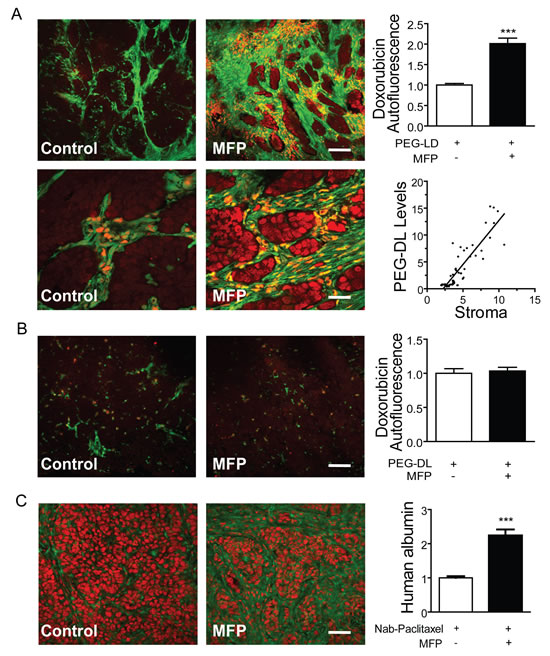 MFP increased the amounts of PEG-LD or Nab-paclitaxel in tumors with higher levels of PRA than PRB.