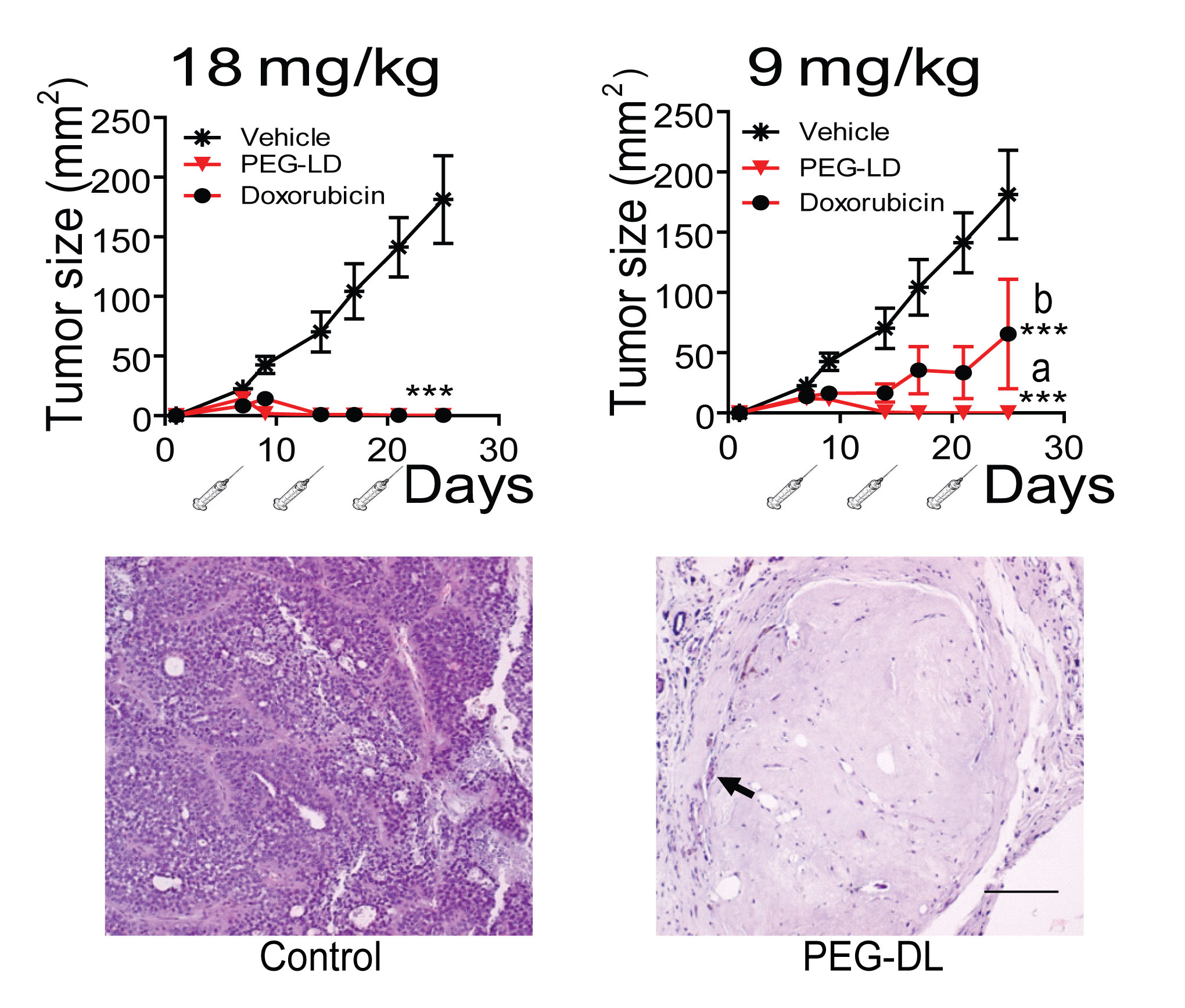 Effect of PEG-LD and free doxorubicin on C4-HI tumor growth.