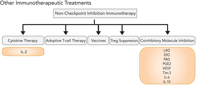 Immunotherapy options beyond checkpoint inhibition.