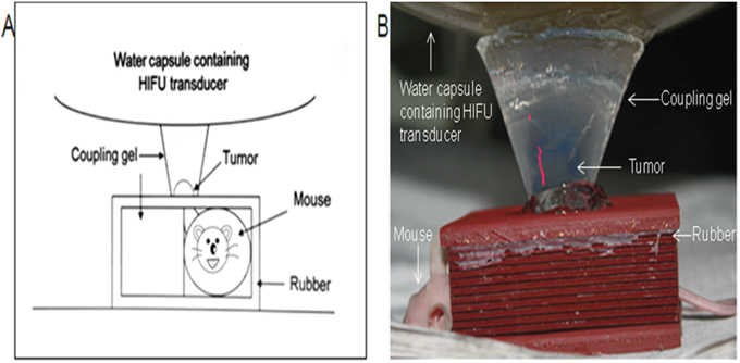 Figure 4: