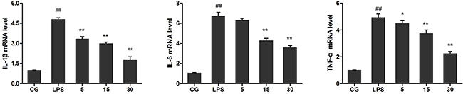 Effects of Ori on the mRNA level of TNF-&#x03B1;, IL-1&#x03B2;, and IL-6 in LPS-induced RAW 264.7 cells.