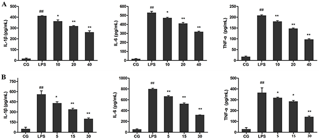 Figure 5: