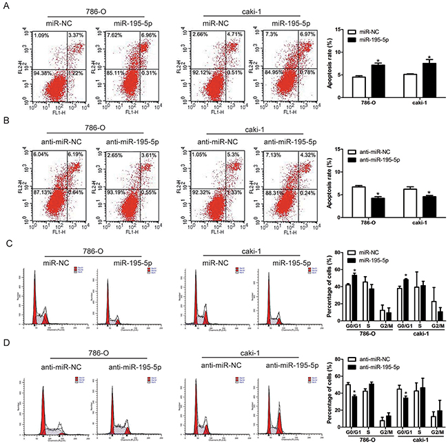 miR-195-5p induced apoptosis and cell cycle arrest in RCC.