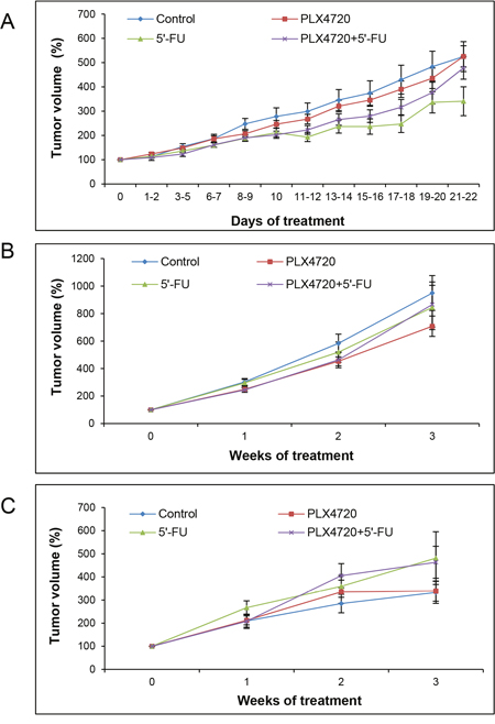 Assessment of anatomic and metabolic tumor volumes.