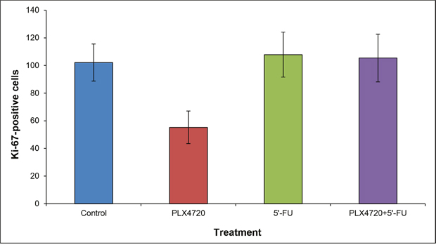 Quantification of Ki-67-positive cells.