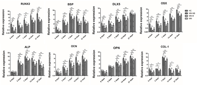 Relative mRNA expression of osteogenic differentiation related gene in MM-MSCs.