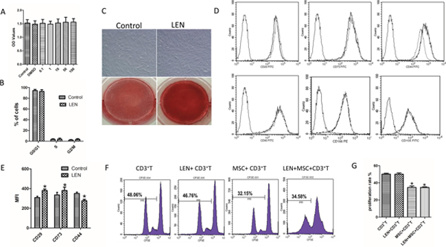 Effects of LEN on proliferation, phenotype, inhibition of T-cell proliferation, and differentiation capacity of BMMSCs.