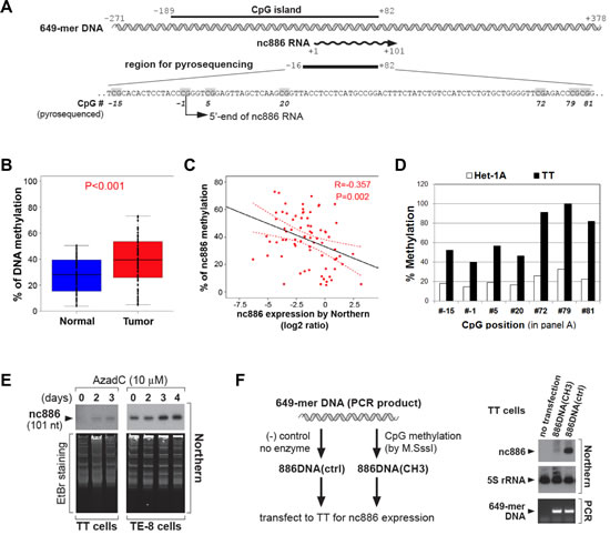 CpG DNA methylation of the nc886 promoter region as a cause for suppression of nc886 RNA expression.