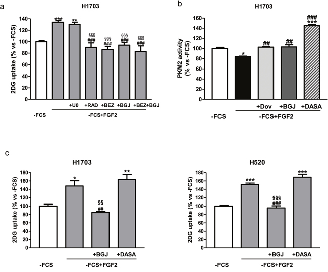Role of AKT/mTOR and PKM2 in the regulation of FGF2-mediated glucose metabolism.
