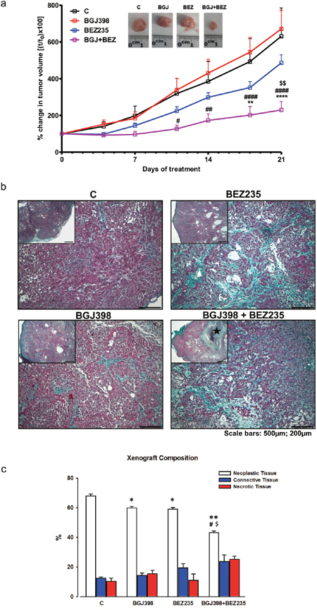 In vivo effects of NVP-BGJ398 and NVP-BEZ235 on LENTI-4 tumor xenografts.