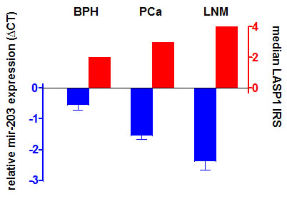 mir-203 levels are reduced in prostate cancer Reduced mir-203 levels correspond to enhanced LASP1 protein concentrations.