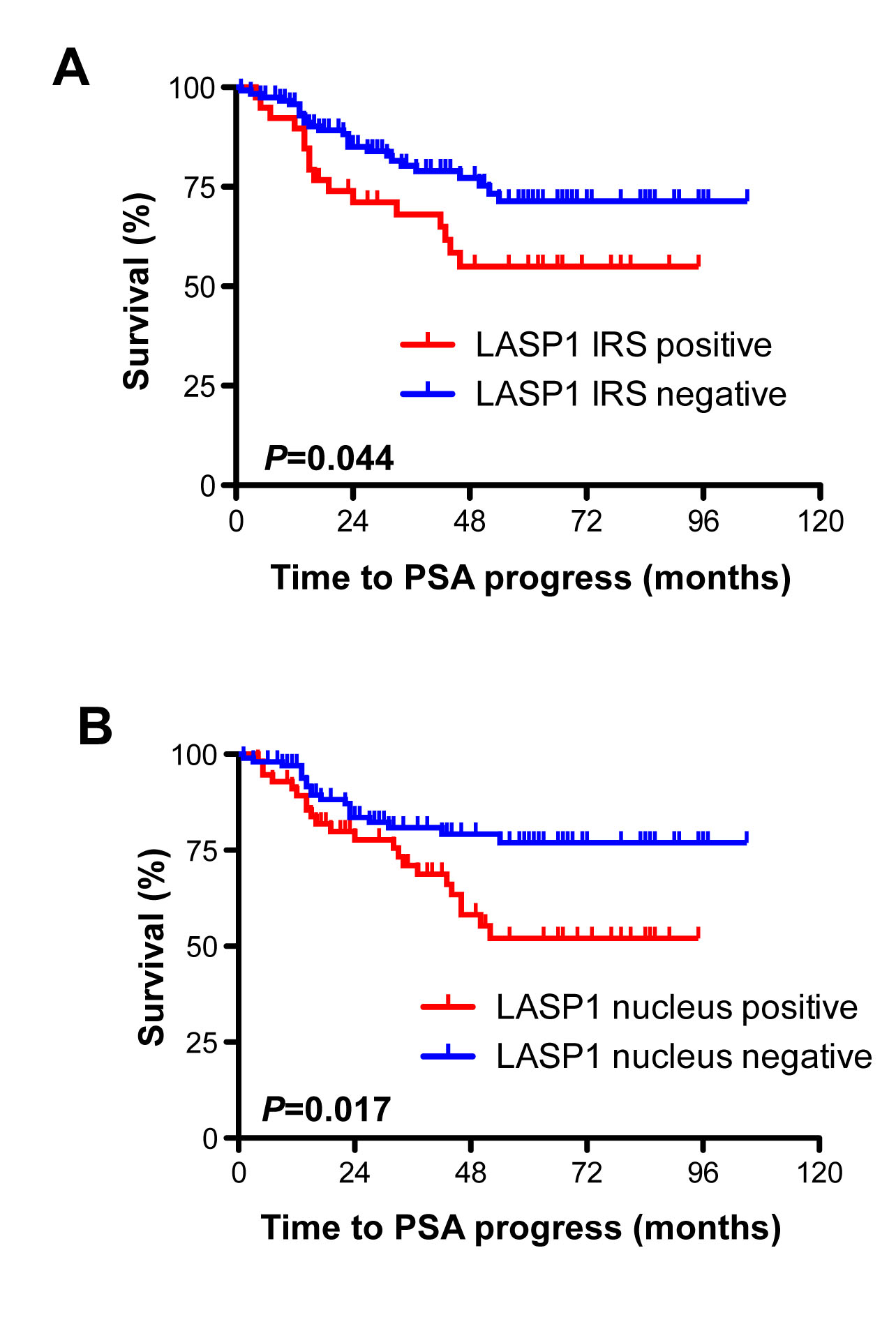 Cytosolic and nuclear LASP1 positivity correlate with PSA progress A: Kaplan-Meier plot displaying patients&#x2019; probability for PSA progress stratified by cytosolic LASP1 positivity (IRS&gt;5) and negativity (IRS&lt;5) B: Kaplan-Meier plot displaying patients&#x2019; probability for PSA progress stratified by nuclear LASP1 positivity (NUC≥10%) and negativity (NUC&lt;10%).