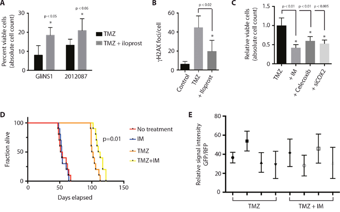 COX-2 inhibition enhances the cytotoxic effect of temozolomide in glioblastoma.