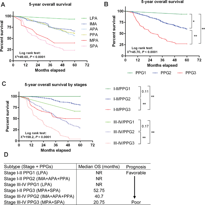 Stage-dependent prognosis was altered by pathological characteristics.