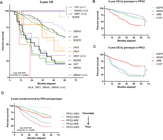 Overall survival determined by both PPG and genetic mutations.