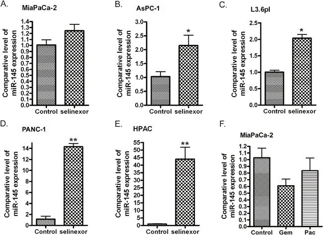 Treatment of PDAC cells with selinexor increased the expression of miR-145.