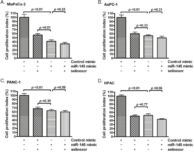 Selinexor treatment or miR-145 mimic transfection inhibited the proliferation of PDAC cells.