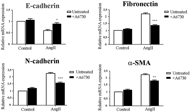 AngII induces EMT and through AKT activation.