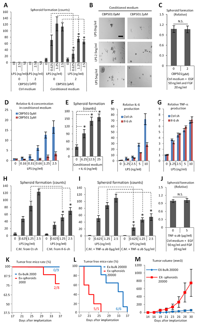 CBP501 suppresses cancer spheroid formation which induced by paracrine effect by macrophage cell line RAW264.7 (A-C, E, H, I, J) Ex3ll spheroid formation assay.