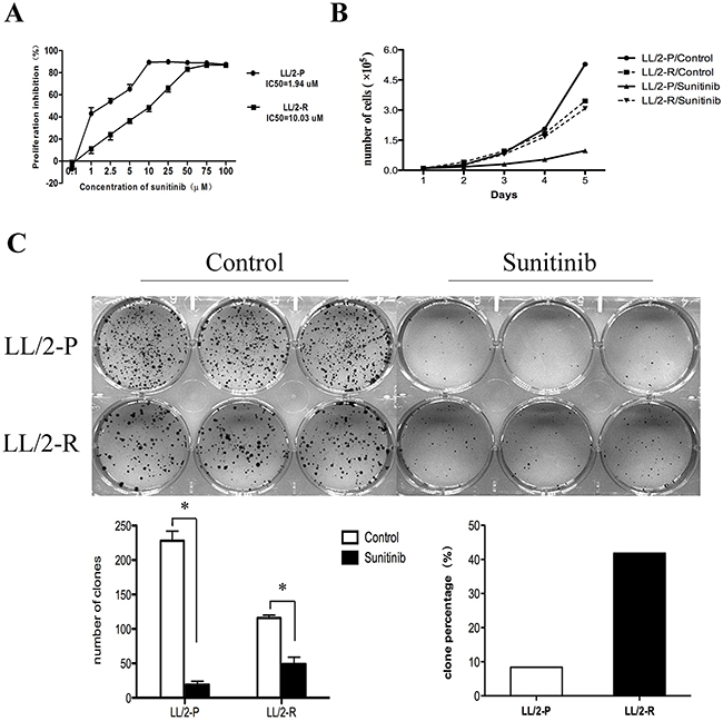 Acquired resistance to sunitinib in LL/2-R cells.