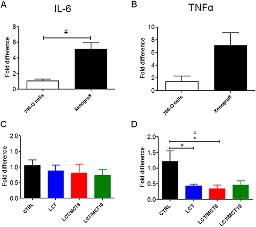 RCC xenografts expressed IL-6 and TNF&#x03B1;, but KDs did not increase their expression levels.