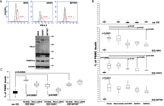 PD-L1-induced PBMC death is reduced by SAFit.