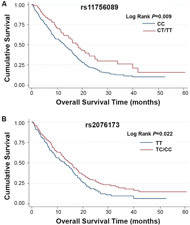 Kaplan-Meier plots of survival by TEAD3 rs11756089 and rs2076173 genotypes in HCC patients&rsquo; survival.