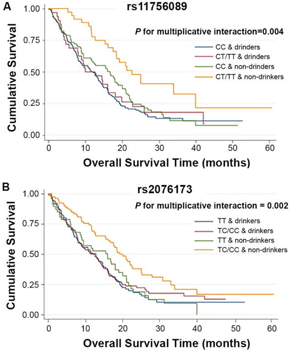 Kaplan-Meier plots of survival by TEAD3 rs11756089 and rs2076173 genotypes in HCC patients&rsquo; survival.