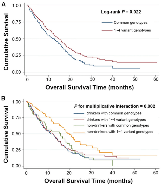 Kaplan-Meier plots of survival by combined genotypes (rs11756089-T and rs2076173-C) in HCC patients&rsquo; survival.
