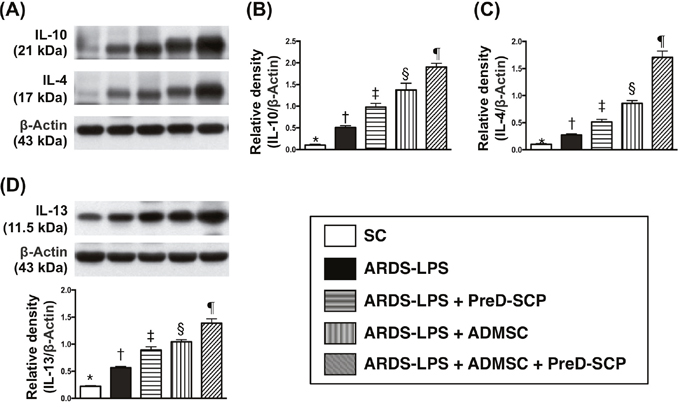 Anti-inflammatory biomarkers 5 d after ARDS and sepsis induction.