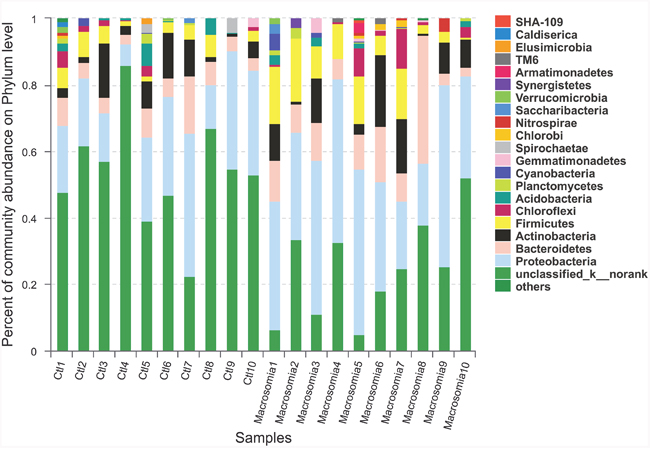 Community bar-plot analysis shows relative abundance of placenta microbiota in each sample at the phylum level.