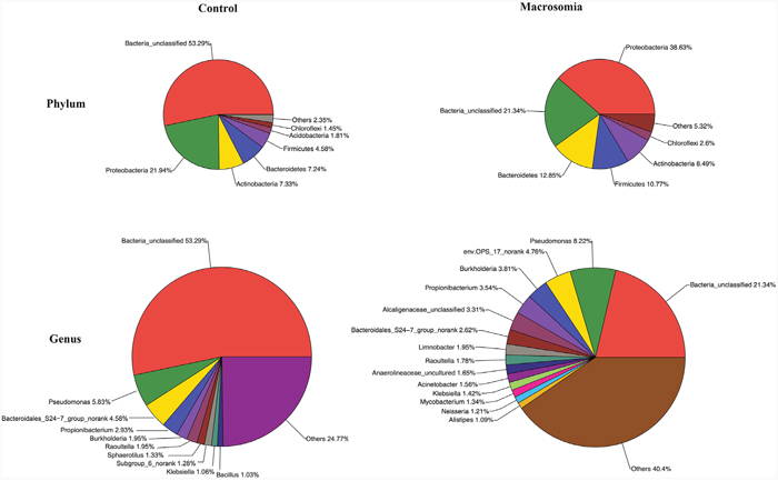 Community analysis pie-plot shows the overall microbiota structure for each group at the phylum and genus levels.