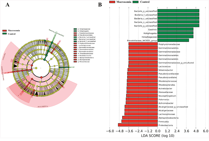 Bacterial difference identification in placental microbiota in macrosomia vs. control groups.