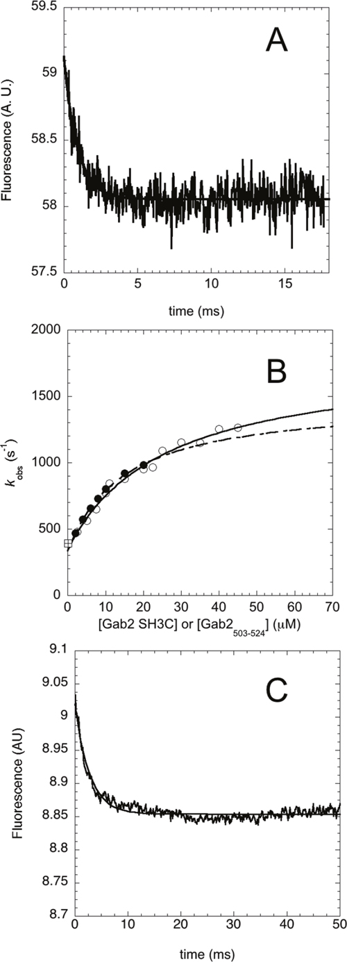 Binding kinetics between Grb2 SH3C and Gab2503-524 performed by using a temperature jump apparatus at 25&#x00B0;C.