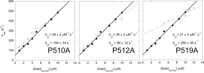 Alanine scanning of the proline residues of Gab2503-524 measured by using a stopped-flow apparatus at 10&#x00B0;C.