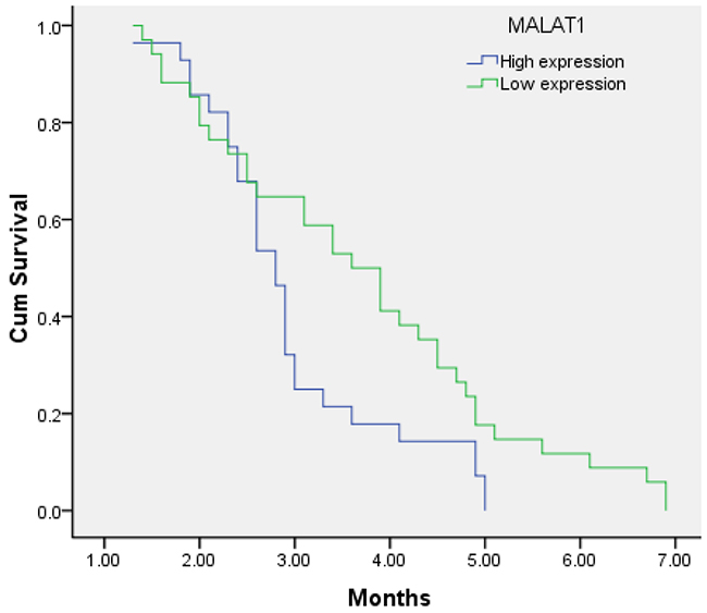 Kaplan&#x2013;Meier analysis for PFS in pancreatic cancer patients with high expression level of MALTA1 and low expression level of MALTA1.