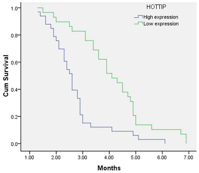 Kaplan&#x2013;Meier analysis for PFS in pancreatic cancer patients with high expression level of HOTTIP and low expression level of HOTTIP.