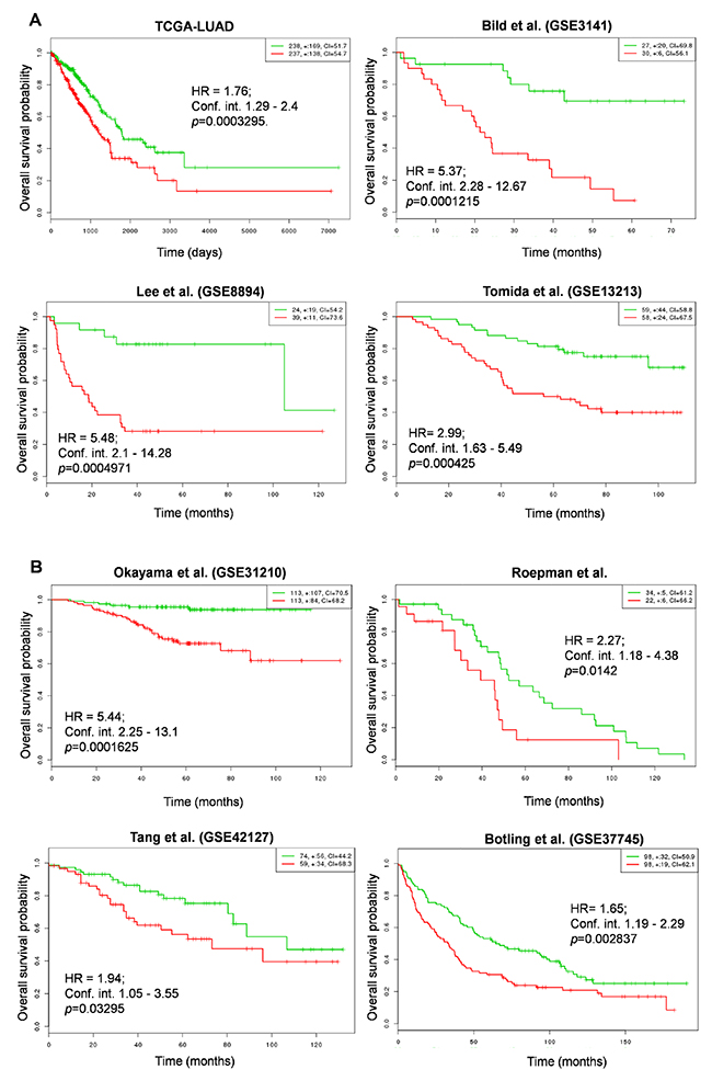 Correlation of NRMGS expression levels and survival in lung cancer patients.