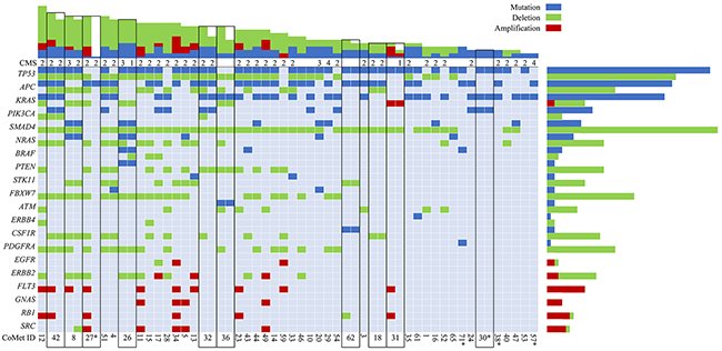 Somatic mutations and copy number alterations (CNAs) in colorectal liver metastases.