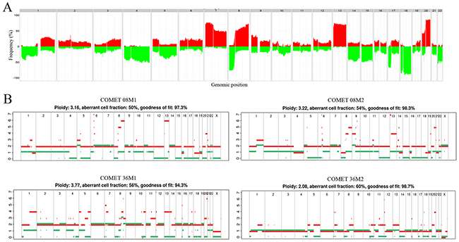 Genome wide copy number alterations.