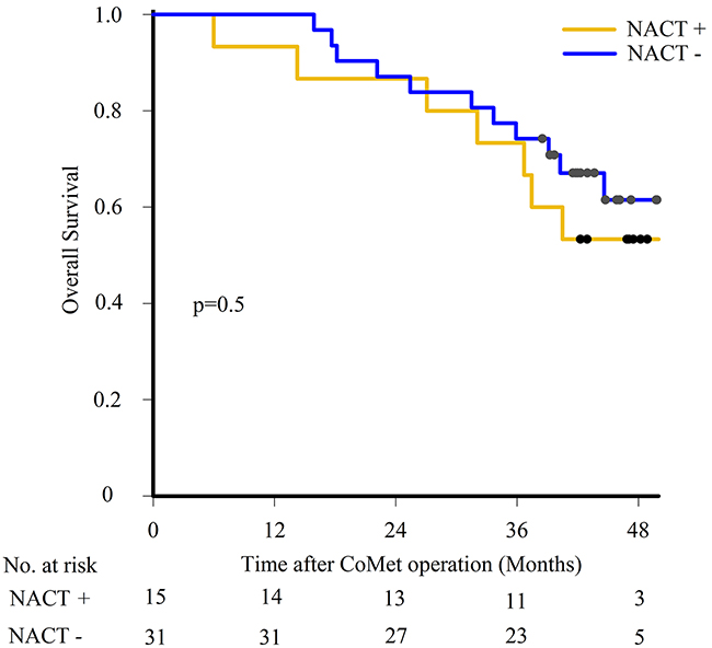 Survival outcome after liver metastasis surgery.