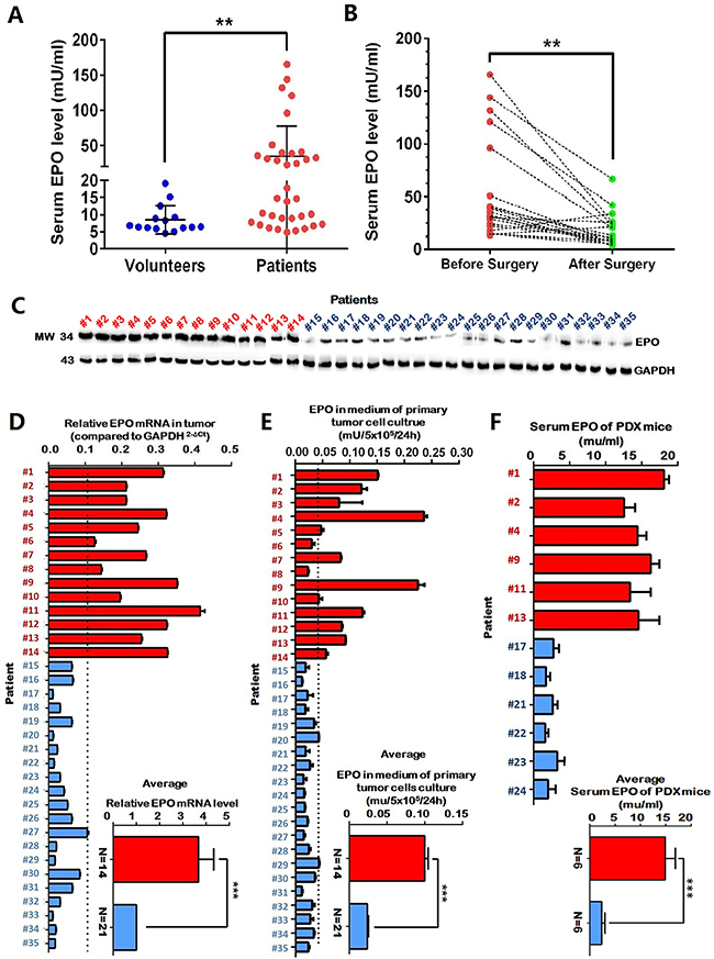 Elevated serum erythropoietin (EPO) was associated with tumor load in a subgroup of NSCLC patients.