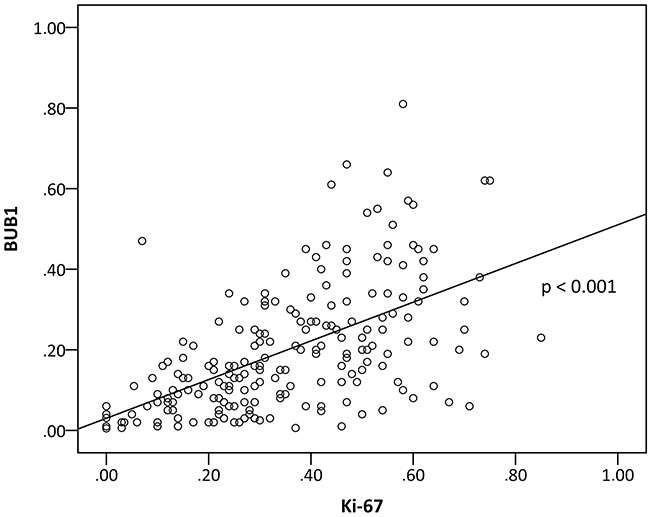 Correlation of BUB1 and Ki-67 expression.