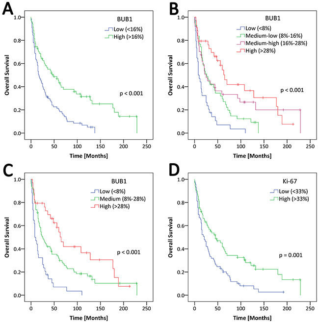 Overall survival in patients with gastric adenocarcinoma is dependent on BUB1 expression.