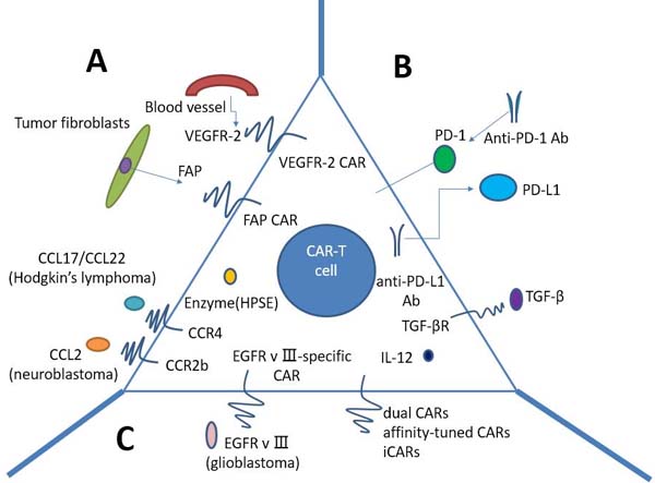 Strategies to improve CAR T-cells for treatment of solid tumors.
